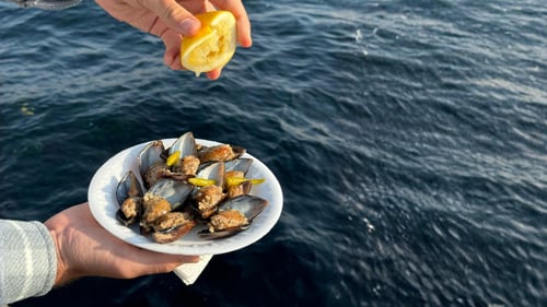 PFAS in Seafood: How Forever Chemicals Enter the Food Chain