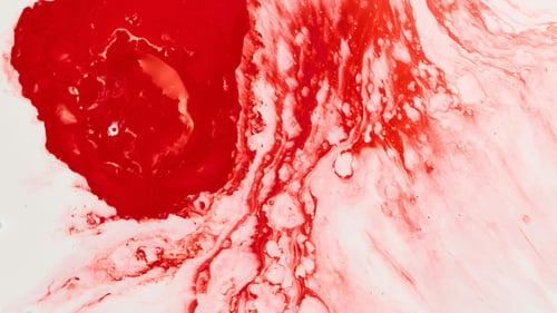 PFAS in our blood?
