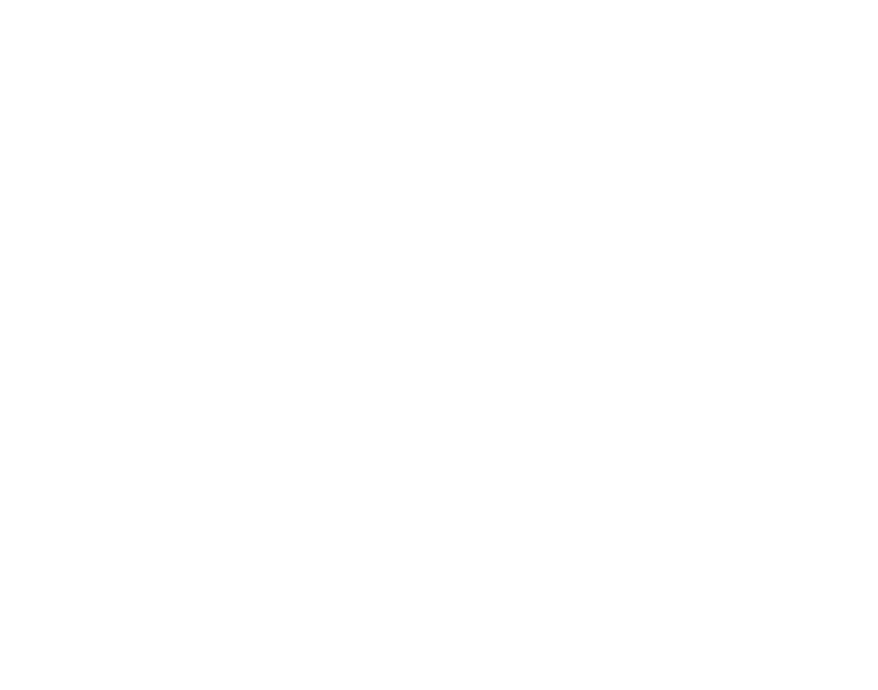 iA 20 P BIG White